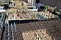 Нажмите на изображение для увеличения.

Название:	DSC_2031.JPG
Просмотров:	242
Размер:	85.7 Кб
ID:	340972