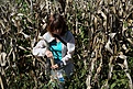 Нажмите на изображение для увеличения.

Название:	Weeds_collect_IMG_1605.jpg
Просмотров:	145
Размер:	238.8 Кб
ID:	341141