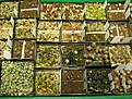 Нажмите на изображение для увеличения.

Название:	IMG_5347.JPG
Просмотров:	204
Размер:	202.4 Кб
ID:	341560