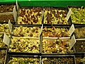 Нажмите на изображение для увеличения.

Название:	IMG_5356.JPG
Просмотров:	189
Размер:	163.5 Кб
ID:	341561
