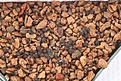 Нажмите на изображение для увеличения.

Название:	seed-IMG_0321.jpg
Просмотров:	454
Размер:	124.9 Кб
ID:	341882