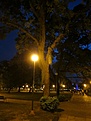 Нажмите на изображение для увеличения.

Название:	Resistencia_IMG_2335.jpg
Просмотров:	128
Размер:	76.4 Кб
ID:	341981