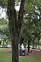 Нажмите на изображение для увеличения.

Название:	Resistencia_IMG_1969.jpg
Просмотров:	139
Размер:	189.5 Кб
ID:	341987