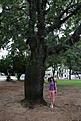 Нажмите на изображение для увеличения.

Название:	Ceiba_speciosa_IMG_1987.jpg
Просмотров:	140
Размер:	201.9 Кб
ID:	341988