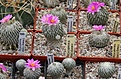 Нажмите на изображение для увеличения.

Название:	IMG_2227.JPG
Просмотров:	163
Размер:	289.8 Кб
ID:	342747