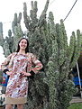 Нажмите на изображение для увеличения.

Название:	IMG_0076.JPG
Просмотров:	163
Размер:	191.1 Кб
ID:	342945