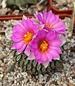 Нажмите на изображение для увеличения.

Название:	IMG_2499.JPG
Просмотров:	210
Размер:	295.7 Кб
ID:	343635