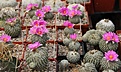Нажмите на изображение для увеличения.

Название:	IMG_2476.JPG
Просмотров:	198
Размер:	290.9 Кб
ID:	343636