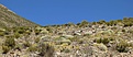 Нажмите на изображение для увеличения.

Название:	Maihueniopsis_boliviana_S100-IMG_2842.jpg
Просмотров:	214
Размер:	160.4 Кб
ID:	343867