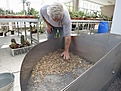 Нажмите на изображение для увеличения.

Название:	IMG_7390.jpg
Просмотров:	212
Размер:	130.5 Кб
ID:	344622