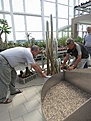 Нажмите на изображение для увеличения.

Название:	IMG_7395.jpg
Просмотров:	216
Размер:	129.6 Кб
ID:	344624
