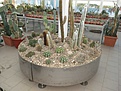 Нажмите на изображение для увеличения.

Название:	IMG_7496.jpg
Просмотров:	230
Размер:	122.0 Кб
ID:	344636