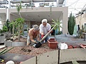 Нажмите на изображение для увеличения.

Название:	IMG_7714.jpg
Просмотров:	222
Размер:	182.7 Кб
ID:	345057