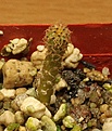 image_47902.jpg