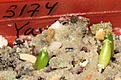 image_47903.jpg