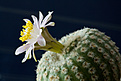 image_47935.jpg