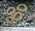 image_47972.jpg