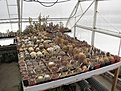Нажмите на изображение для увеличения.

Название:	IMG_5365.jpg
Просмотров:	167
Размер:	297.3 Кб
ID:	345231