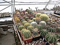 Нажмите на изображение для увеличения.

Название:	IMG_5386.jpg
Просмотров:	158
Размер:	186.5 Кб
ID:	345249