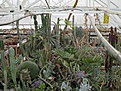 Нажмите на изображение для увеличения.

Название:	IMG_5491.jpg
Просмотров:	185
Размер:	175.5 Кб
ID:	345309