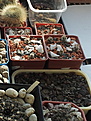 Нажмите на изображение для увеличения.

Название:	2012-03-0415.26.14-001.jpg
Просмотров:	406
Размер:	259.3 Кб
ID:	345584