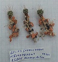 Нажмите на изображение для увеличения.

Название:	2012-05-0518.41.04.jpg
Просмотров:	247
Размер:	218.8 Кб
ID:	345611