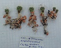 Нажмите на изображение для увеличения.

Название:	2012-05-0518.42.47.jpg
Просмотров:	245
Размер:	184.1 Кб
ID:	345612