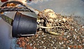 Нажмите на изображение для увеличения.

Название:	DSC03083.JPG
Просмотров:	295
Размер:	136.4 Кб
ID:	345699