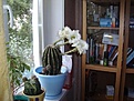 Нажмите на изображение для увеличения.

Название:	DSC09512.JPG
Просмотров:	134
Размер:	44.1 Кб
ID:	346655