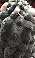Нажмите на изображение для увеличения.

Название:	Hypogea cv. Lizard skin.
Просмотров:	149
Размер:	136.7 Кб
ID:	347181