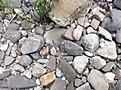 Нажмите на изображение для увеличения.

Название:	IMG_2040.JPG
Просмотров:	141
Размер:	156.8 Кб
ID:	348726