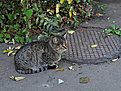 Нажмите на изображение для увеличения.

Название:	IMG_0434.JPG
Просмотров:	157
Размер:	238.6 Кб
ID:	349020