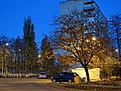 Нажмите на изображение для увеличения.

Название:	IMG_0491.JPG
Просмотров:	154
Размер:	248.9 Кб
ID:	349025