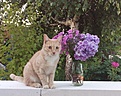 Нажмите на изображение для увеличения.

Название:	IMG_20140714_215914.jpg
Просмотров:	152
Размер:	223.3 Кб
ID:	349275