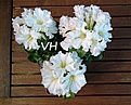 Нажмите на изображение для увеличения.

Название:	DSC_1182.JPG
Просмотров:	189
Размер:	189.7 Кб
ID:	350895