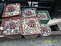 Нажмите на изображение для увеличения.

Название:	126.JPG
Просмотров:	124
Размер:	178.5 Кб
ID:	352129