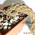 Нажмите на изображение для увеличения.

Название:	Pterocactus reticulatus GP 96.JPG
Просмотров:	249
Размер:	154.2 Кб
ID:	352148