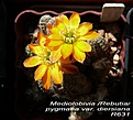 Нажмите на изображение для увеличения.

Название:	CHKHkhwOxGQ.jpg
Просмотров:	195
Размер:	64.2 Кб
ID:	352867