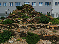 Нажмите на изображение для увеличения.

Название:	IMG_3738.JPG
Просмотров:	212
Размер:	244.4 Кб
ID:	354881