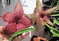 Нажмите на изображение для увеличения.

Название:	IMG_4284 (670x462).jpg
Просмотров:	294
Размер:	242.4 Кб
ID:	355042