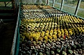 Нажмите на изображение для увеличения.

Название:	WDP_02.jpg
Просмотров:	219
Размер:	201.0 Кб
ID:	355150