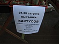 Нажмите на изображение для увеличения.

Название:	IMG_1983 (1080 x 810).jpg
Просмотров:	268
Размер:	110.4 Кб
ID:	355868