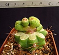 Нажмите на изображение для увеличения.

Название:	IMG_5896.JPG
Просмотров:	198
Размер:	188.4 Кб
ID:	356000