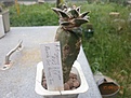 Нажмите на изображение для увеличения.

Название:	18.jpg
Просмотров:	164
Размер:	86.7 Кб
ID:	356094