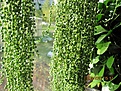 Нажмите на изображение для увеличения.

Название:	IMG_5341 (880x660).jpg
Просмотров:	279
Размер:	495.0 Кб
ID:	356602