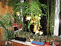 Нажмите на изображение для увеличения.

Название:	IMG_5443 (900x675).jpg
Просмотров:	448
Размер:	458.0 Кб
ID:	356811