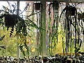Нажмите на изображение для увеличения.

Название:	IMG_5484 (800x600).jpg
Просмотров:	444
Размер:	468.7 Кб
ID:	356991