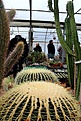 Нажмите на изображение для увеличения.

Название:	IMG_9394.jpg
Просмотров:	204
Размер:	105.4 Кб
ID:	357417