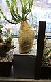 Нажмите на изображение для увеличения.

Название:	IMG_1448.JPG
Просмотров:	185
Размер:	82.8 Кб
ID:	358175