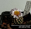 Нажмите на изображение для увеличения.

Название:	P1210542.jpg
Просмотров:	212
Размер:	109.0 Кб
ID:	358445